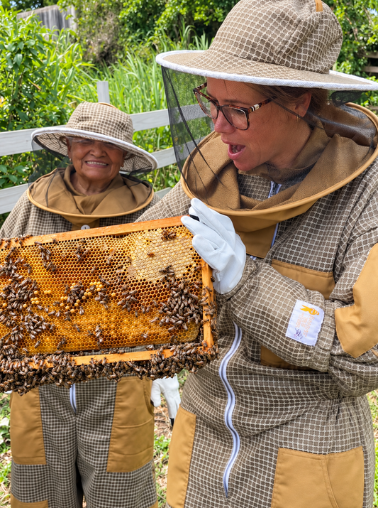 How to Choose the Best Beekeeping Suit for Your Needs??